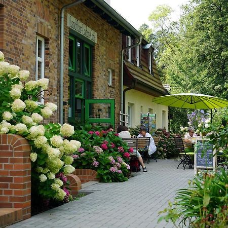 Appartamento Gruener Wald Burg Kauper Esterno foto