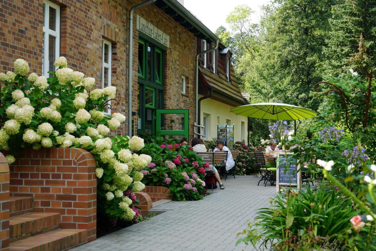 Appartamento Gruener Wald Burg Kauper Esterno foto