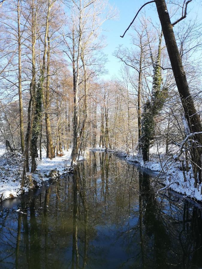 Appartamento Gruener Wald Burg Kauper Esterno foto